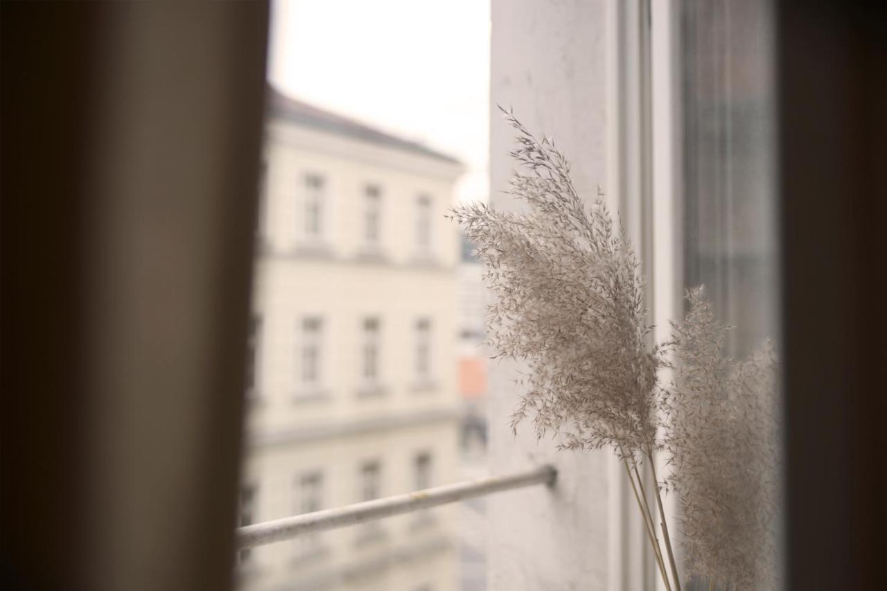 By The River And City Center - Comfortable Rooms Vratislav Exteriér fotografie